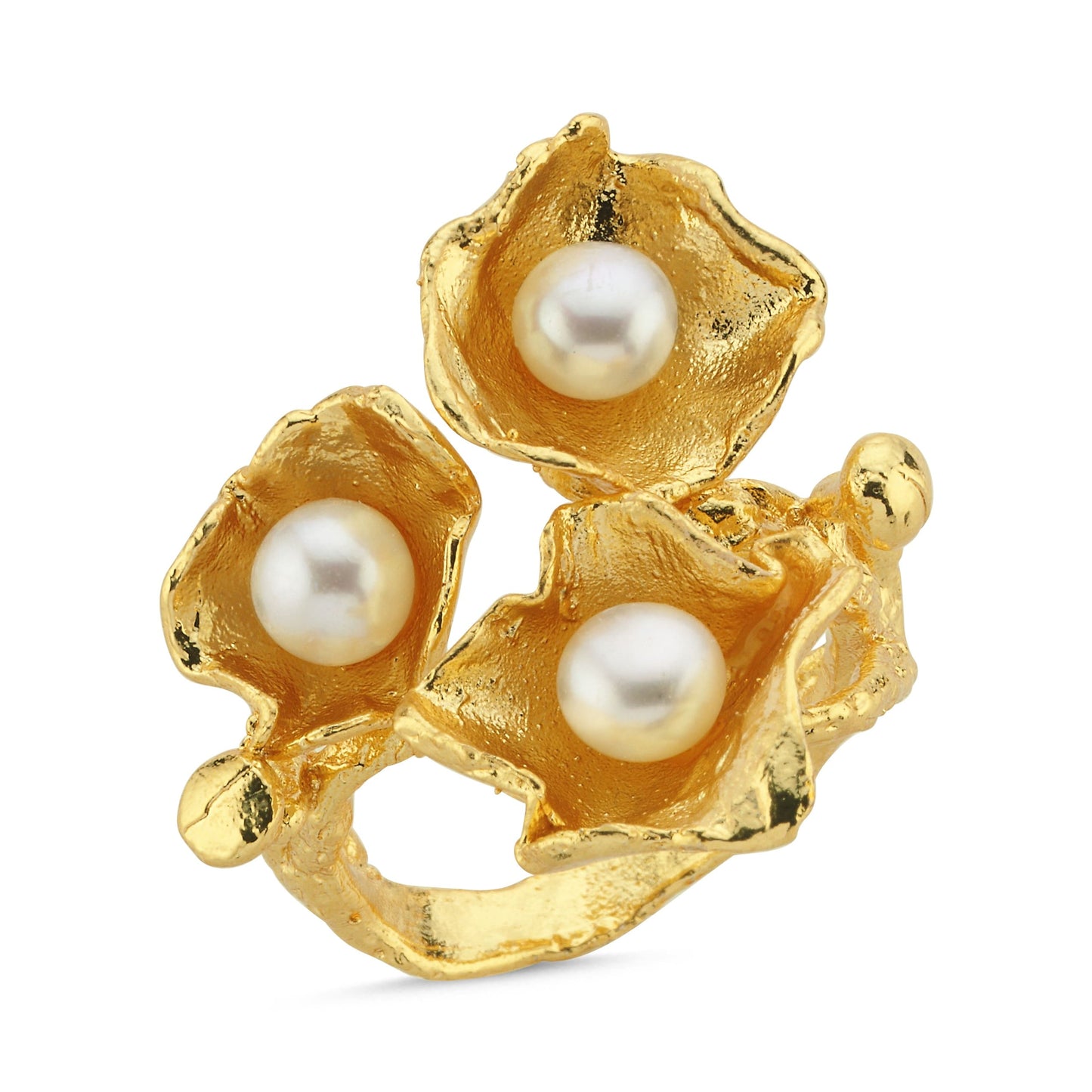 Paisley Ring - Rings