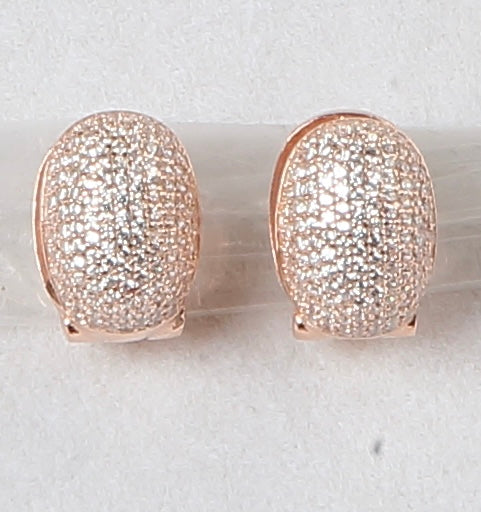 Sparkly 925 Silver Earrings