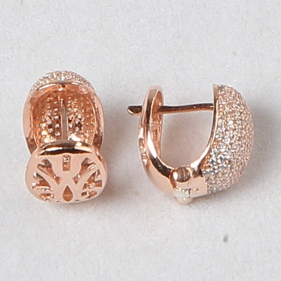 Sparkly 925 Silver Earrings